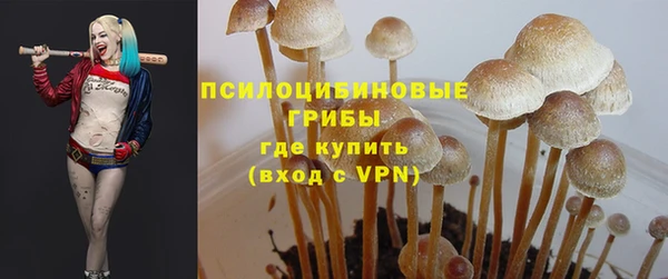 синтетический гашиш Алексеевка