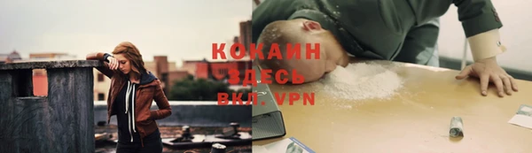 прущие крисы Алзамай