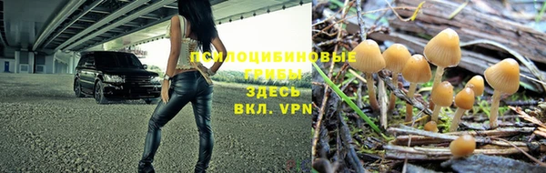 прущие крисы Алзамай