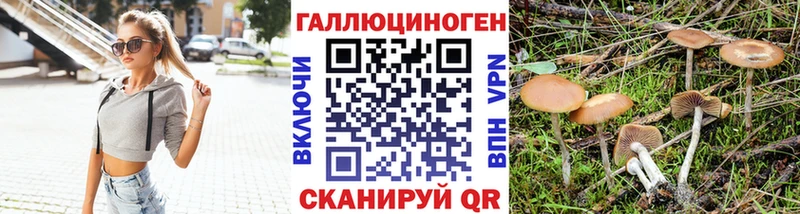 Псилоцибиновые грибы GOLDEN TEACHER Каменногорск